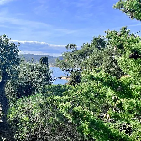 Apartment Avec Jardin Proche De La Saint-Raphael (Var)