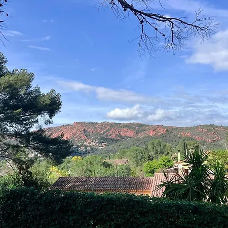 Apartment Avec Jardin Proche De La *
